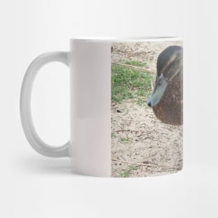 The Duck Walk! Mug